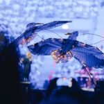 20250623-6KUnited_Mannheim2-0049